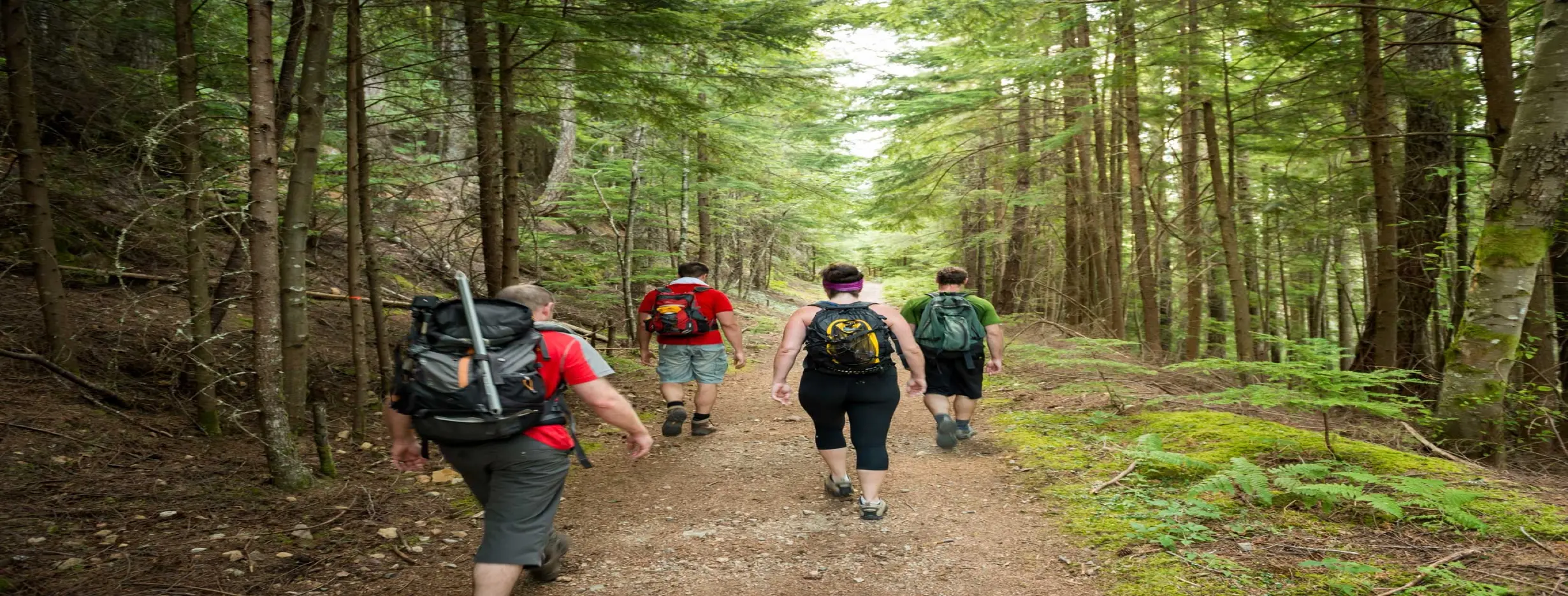 Image for Woods Hiking